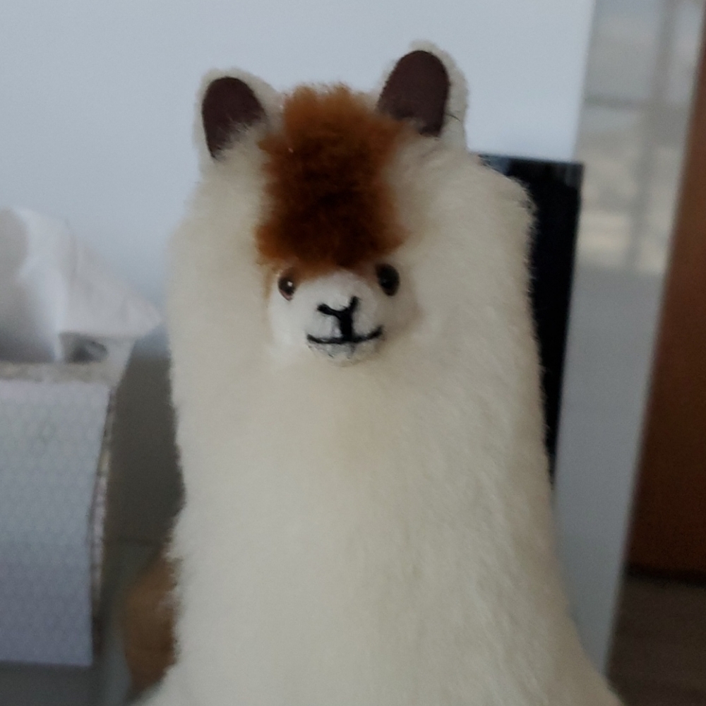 Meet your Posher, Tian